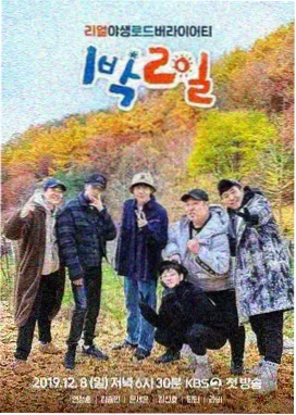 户外推理综艺答案在风里